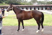 ��Ʈ���� (HEART  JONES) ����