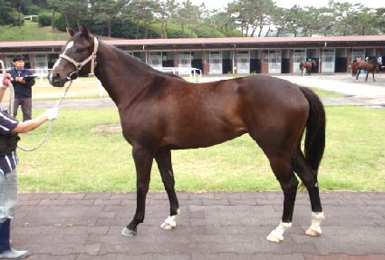 ��Ʈ���� ����