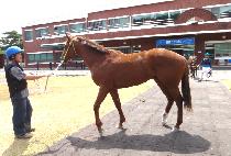 Ÿ��ź (TITAN) ����