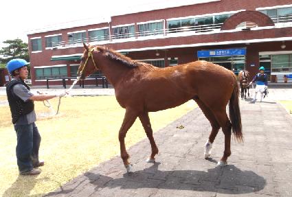 Ÿ��ź ����