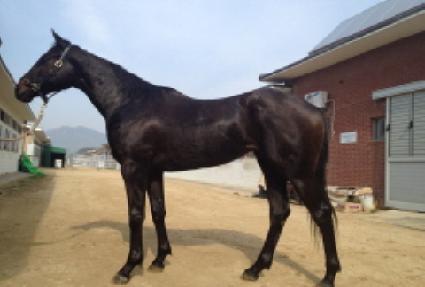 �ξ� ����