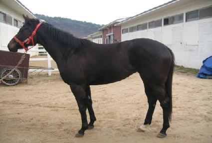 �¸�õ�� ����