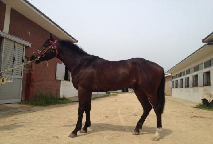 �Ƹὺ���� ����