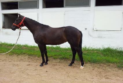 ���̺� ����