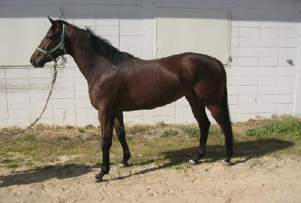 �ٶ����� ����