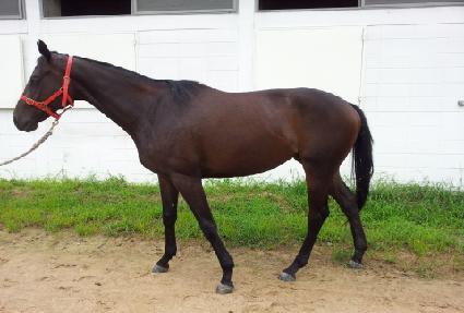 ������ ����