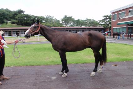 �������¾� ����