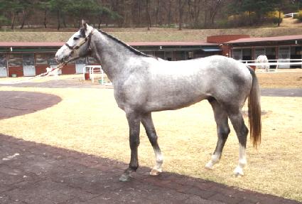 �ǹ����̳��� ����