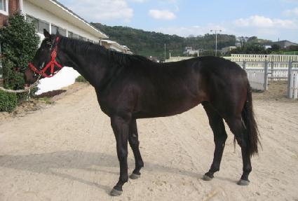 ���Ǿ ����