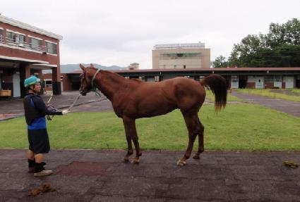 ��ũ����� ����