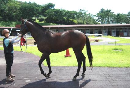 ����� ����