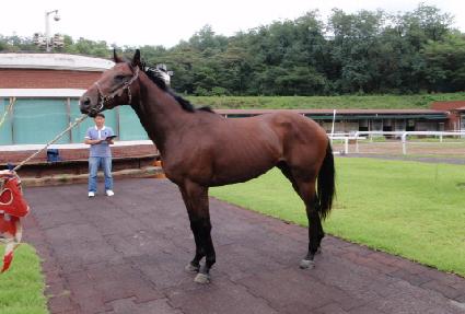 ����ȣũ ����