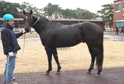 ���Ÿ�̰� ����