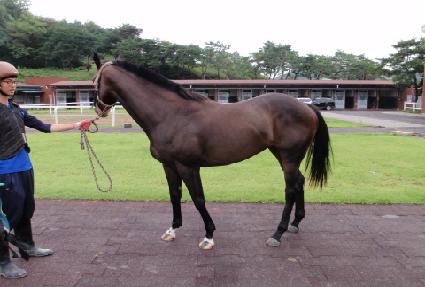 �»��½ ����