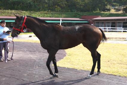 ���̸�����õ ����