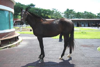 ����� ����