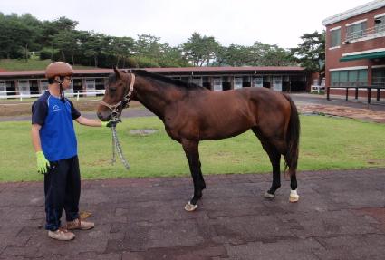 �̽���õ ����