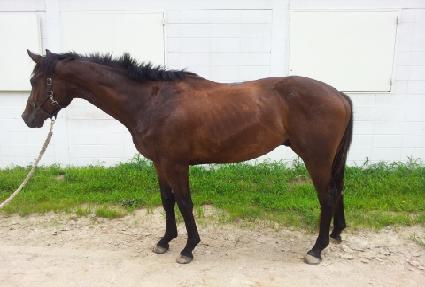 ����Ʈ���� ����