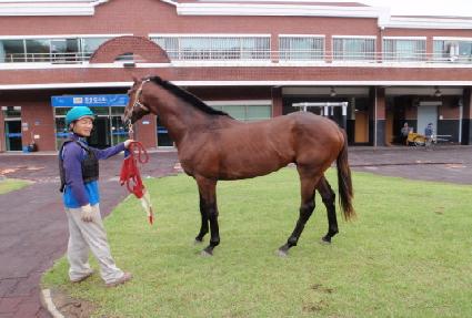 ���׸��� ����