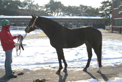 ����õ ����