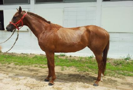 �ڷ����� ����