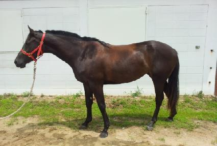 �泲��� ����