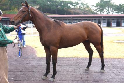 ������õ ����