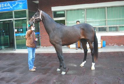 ī����ȯ�� ����