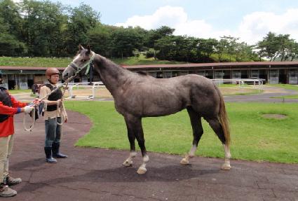 ����ǳ ����