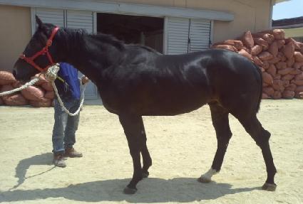 ��ũ������ ����