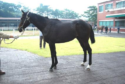 �Ѵ��� ����