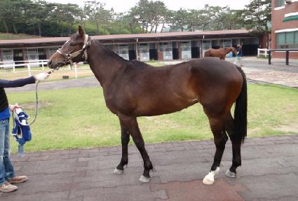 �Ƹ�ĭ������ ����