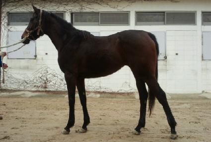 ���̴����� ����