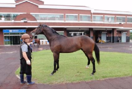 ������ ����