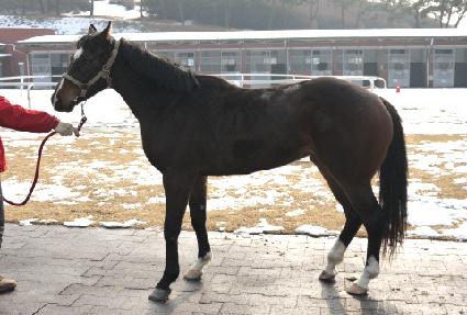 ��� ����