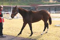 �ļ��� (PASUKKUN) ����