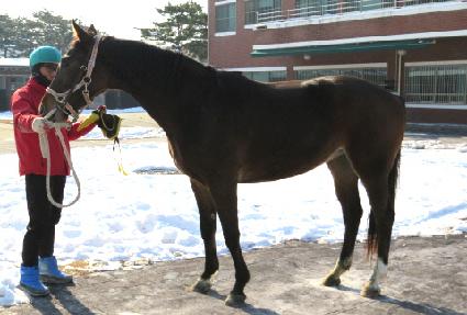 ��Ʈ���� ����