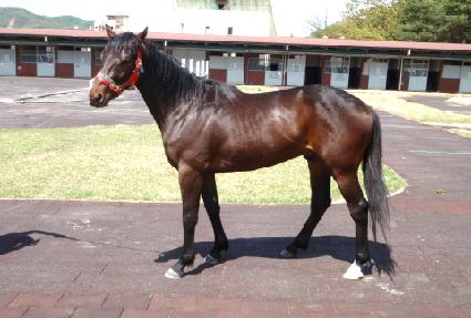 ��ī���� ����