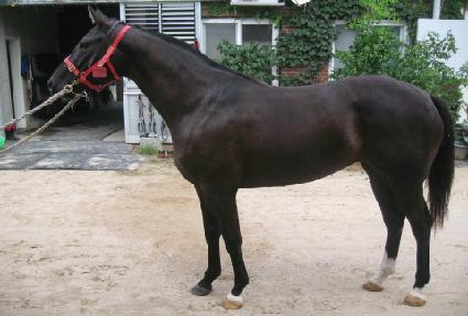 ���Ѱɽ� ����