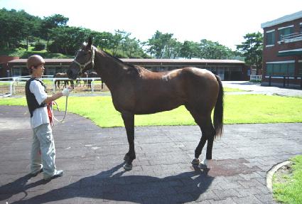 ����ǳ ����