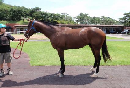 ä�� ����