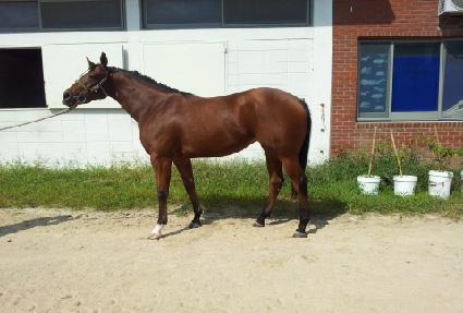 ����Ǯ���� ����