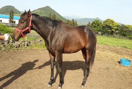 ���ѽŷ� ����