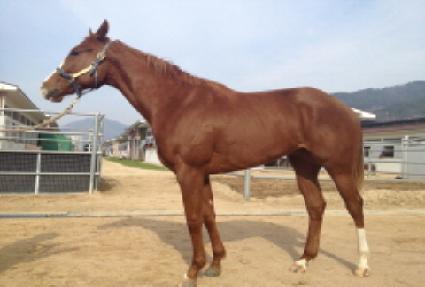 ����¡������ ����