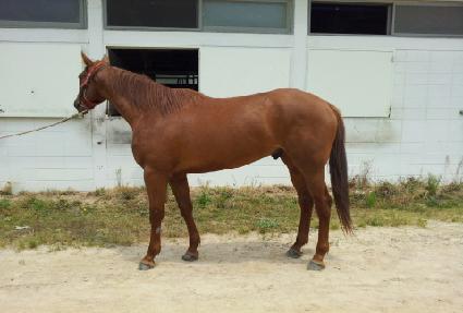 ������� ����