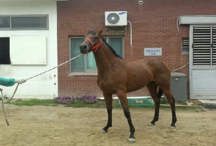 ���������� ����