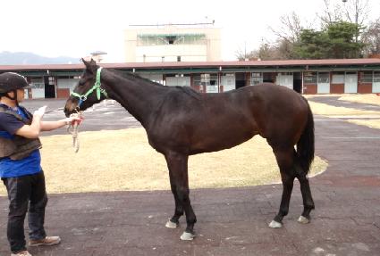 �ϴ��ǲ� ����