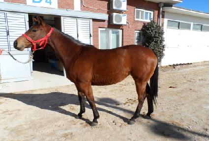 ���ʸ���Ÿ ����