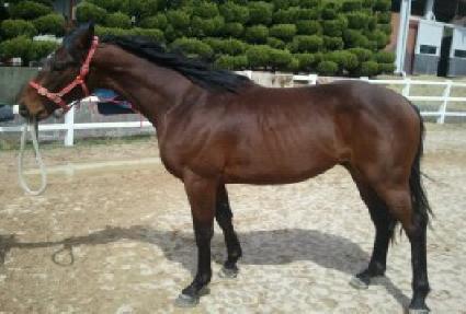 ����Ʈ���� ����