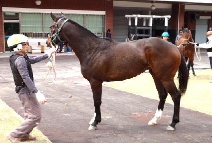 �����Ͽ� ����